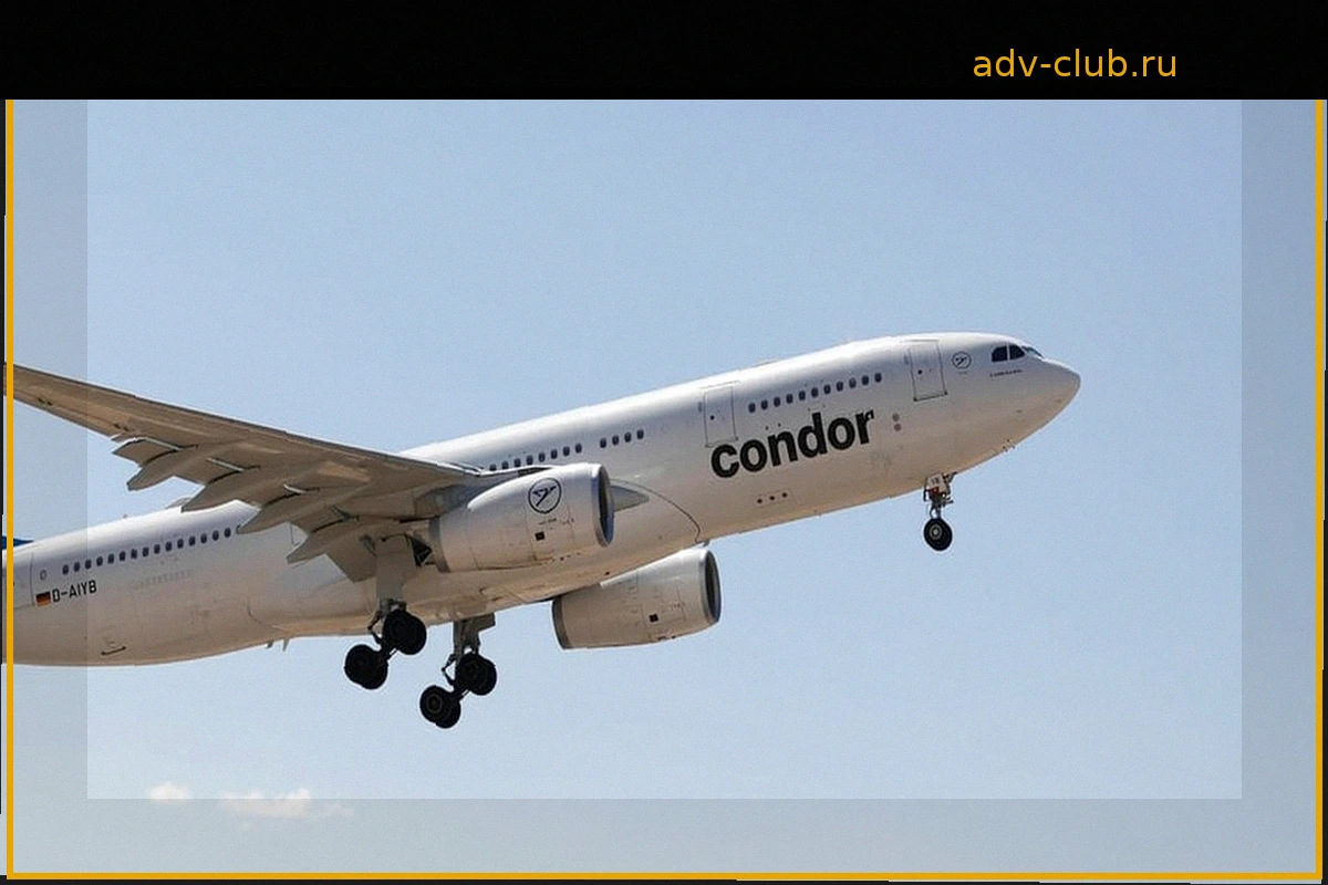 Condor открыта к продаже авиакомпании из стран Залива