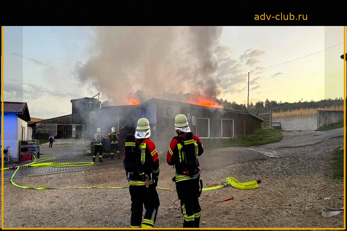 Incendio en matadero: ningún animal afectado